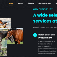 Phoenix Business Solutions - rime Horse Gateway pic